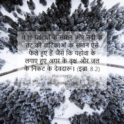गिनती 24:6 बाइबल आयत की व्याख्या