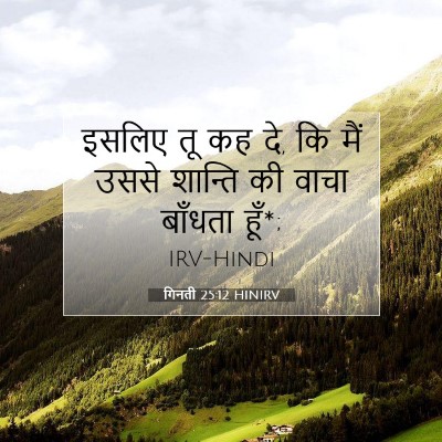 गिनती 25:12 बाइबल आयत की व्याख्या