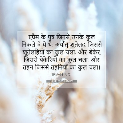 गिनती 26:35 बाइबल आयत की व्याख्या