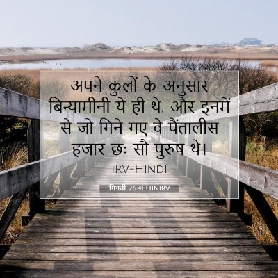 गिनती 26:41 बाइबल आयत की व्याख्या