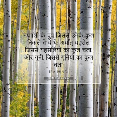 गिनती 26:48 बाइबल आयत की व्याख्या