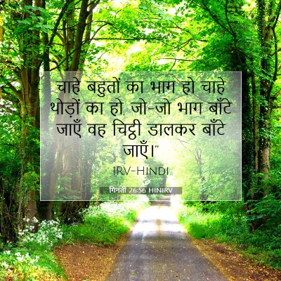गिनती 26:56 बाइबल आयत की व्याख्या
