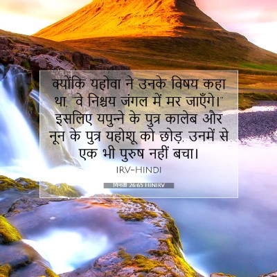 गिनती 26:65 बाइबल आयत की व्याख्या