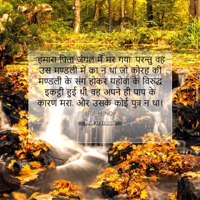 गिनती 27:3 HINIRV बाइबल आयत इमेज