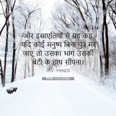 गिनती 27:8 बाइबल आयत की व्याख्या