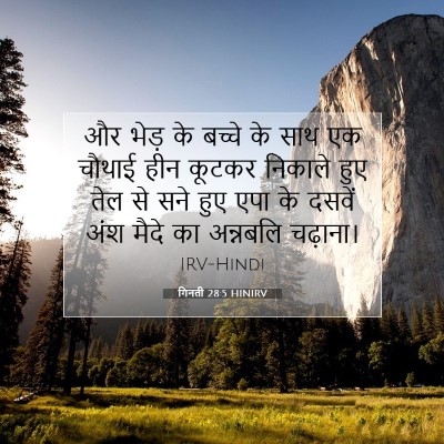 गिनती 28:5 बाइबल आयत की व्याख्या