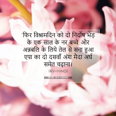 गिनती 28:9 बाइबल आयत की व्याख्या