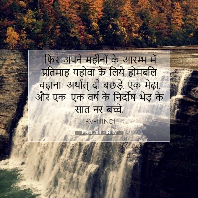 गिनती 28:11 बाइबल आयत की व्याख्या