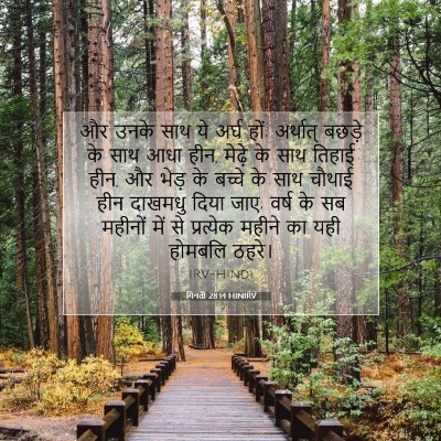 गिनती 28:14 बाइबल आयत की व्याख्या