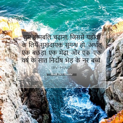 गिनती 29:2 बाइबल आयत की व्याख्या