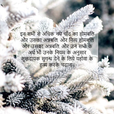 गिनती 29:6 बाइबल आयत की व्याख्या