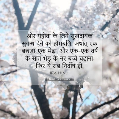 गिनती 29:8 बाइबल आयत की व्याख्या