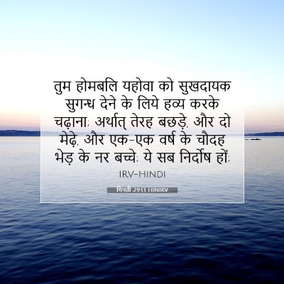 गिनती 29:13 बाइबल आयत की व्याख्या