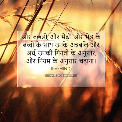 गिनती 29:33 बाइबल आयत की व्याख्या