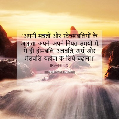 गिनती 29:39 बाइबल आयत की व्याख्या