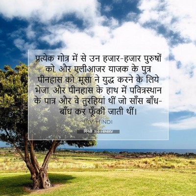 गिनती 31:6 बाइबल आयत की व्याख्या