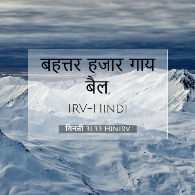 गिनती 31:33 बाइबल आयत की व्याख्या