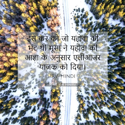 गिनती 31:41 बाइबल आयत की व्याख्या