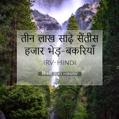 गिनती 31:43 बाइबल आयत की व्याख्या