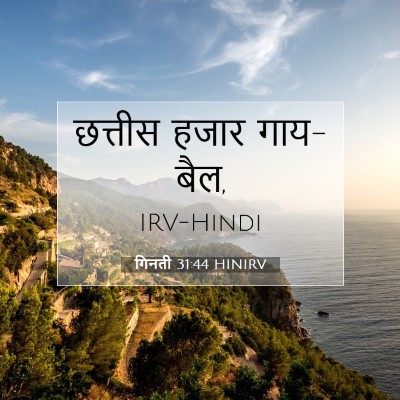 गिनती 31:44 बाइबल आयत की व्याख्या