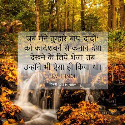 गिनती 32:8 बाइबल आयत की व्याख्या