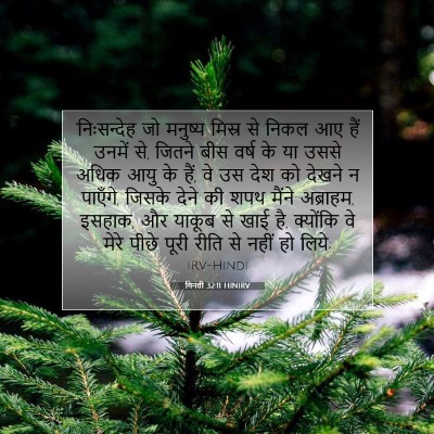 गिनती 32:11 HINIRV बाइबल आयत इमेज