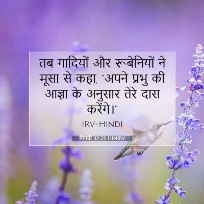 गिनती 32:25 HINIRV बाइबल आयत इमेज