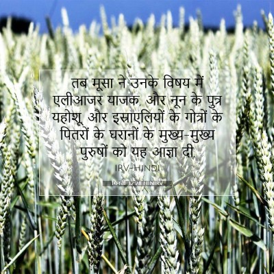 गिनती 32:28 बाइबल आयत की व्याख्या