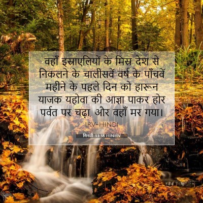 गिनती 33:38 बाइबल आयत की व्याख्या