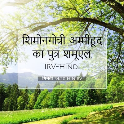 गिनती 34:20 बाइबल आयत की व्याख्या