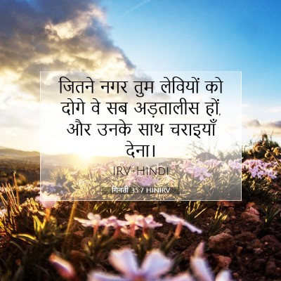 गिनती 35:7 बाइबल आयत की व्याख्या