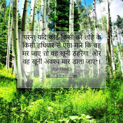 गिनती 35:16 बाइबल आयत की व्याख्या