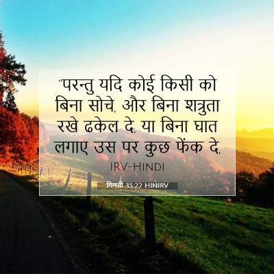 गिनती 35:22 बाइबल आयत की व्याख्या