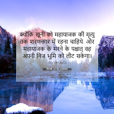 गिनती 35:28 बाइबल आयत की व्याख्या