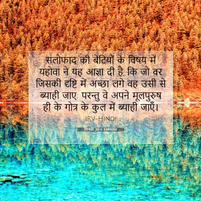 गिनती 36:6 HINIRV बाइबल आयत इमेज