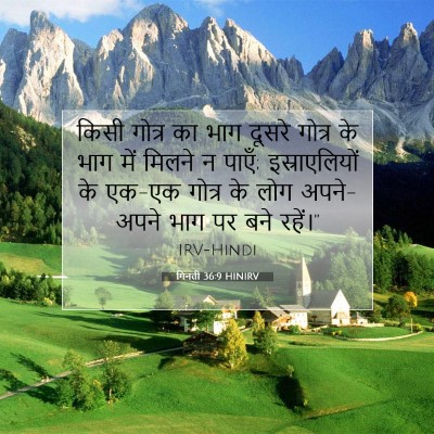 गिनती 36:9 HINIRV बाइबल आयत इमेज