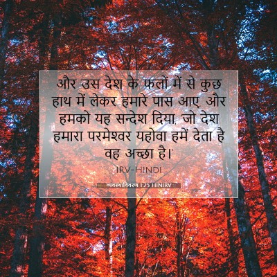 व्यवस्थाविवरण 1:25 बाइबल आयत की व्याख्या