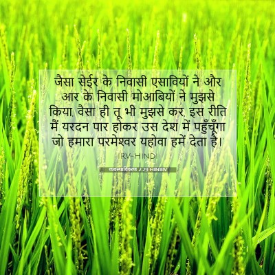 व्यवस्थाविवरण 2:29 बाइबल आयत की व्याख्या
