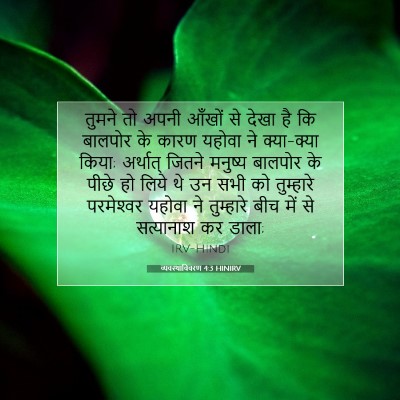 व्यवस्थाविवरण 4:3 बाइबल आयत की व्याख्या