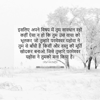 व्यवस्थाविवरण 4:23 HINIRV बाइबल आयत इमेज
