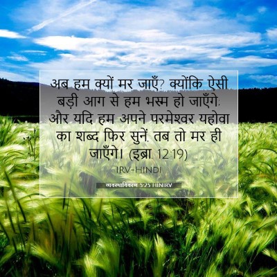 व्यवस्थाविवरण 5:25 HINIRV बाइबल आयत इमेज