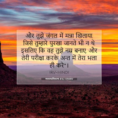 व्यवस्थाविवरण 8:16 HINIRV बाइबल आयत इमेज