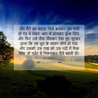 व्यवस्थाविवरण 9:21 HINIRV बाइबल आयत इमेज