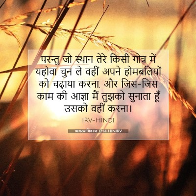 व्यवस्थाविवरण 12:14 HINIRV बाइबल आयत इमेज
