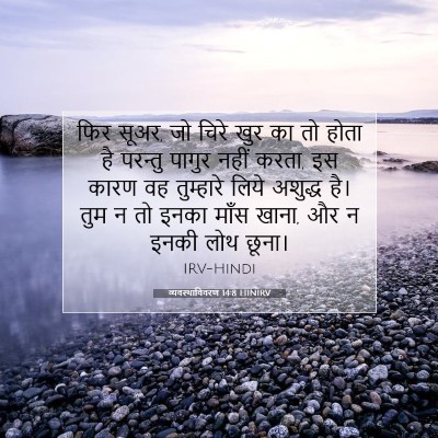 व्यवस्थाविवरण 14:8 HINIRV बाइबल आयत इमेज