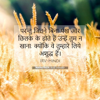 व्यवस्थाविवरण 14:10 HINIRV बाइबल आयत इमेज