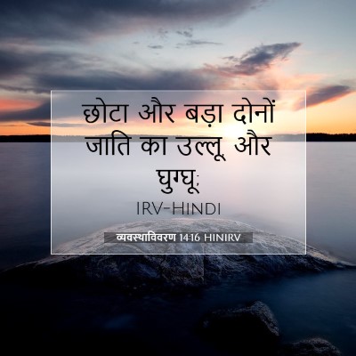 व्यवस्थाविवरण 14:16 बाइबल आयत की व्याख्या