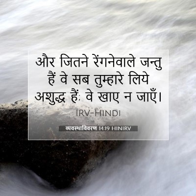 व्यवस्थाविवरण 14:19 HINIRV बाइबल आयत इमेज
