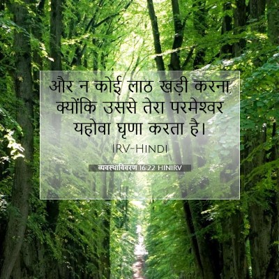 व्यवस्थाविवरण 16:22 HINIRV बाइबल आयत इमेज
