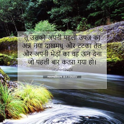 व्यवस्थाविवरण 18:4 HINIRV बाइबल आयत इमेज